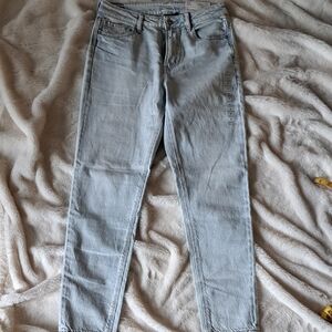 American Eagle Outfitters Light Gray Straight Leg Jeans